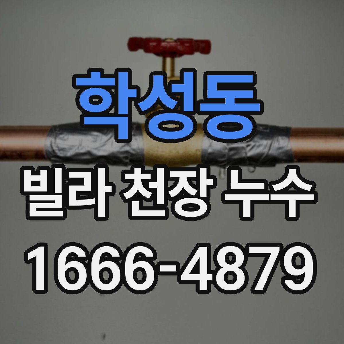 학성동 빌라 천장 누수