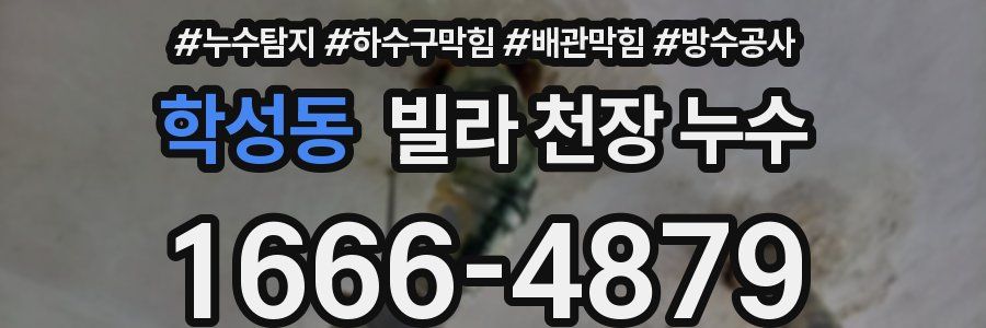 학성동 빌라 천장 누수