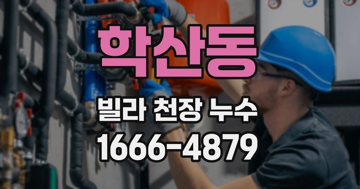 학산동 빌라 천장 누수