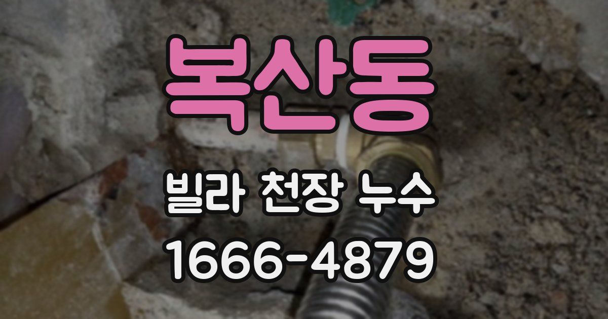 복산동 빌라 천장 누수