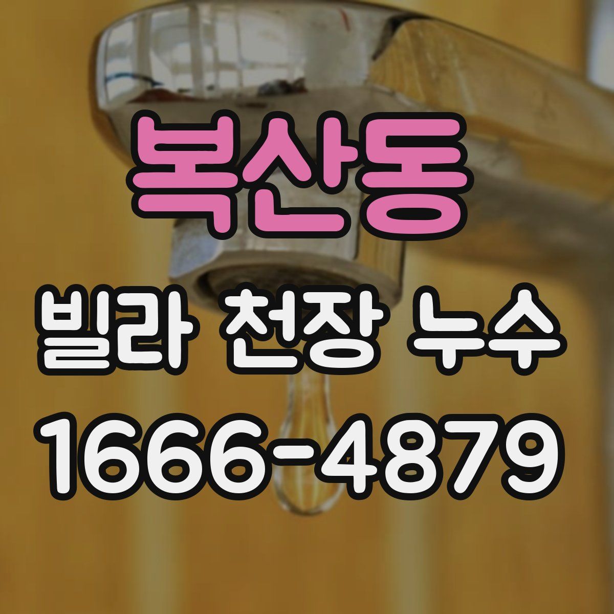 복산동 빌라 천장 누수