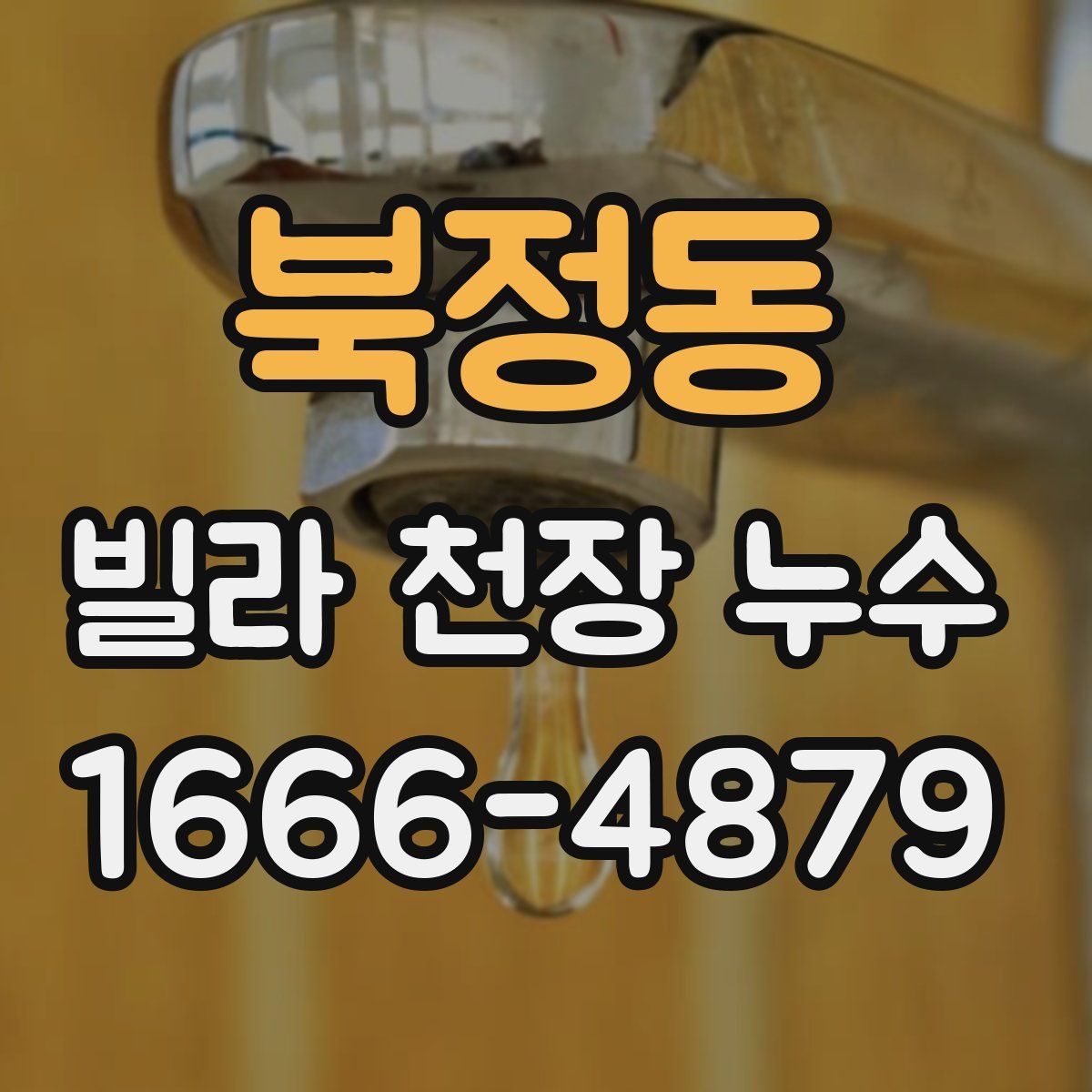 북정동 빌라 천장 누수