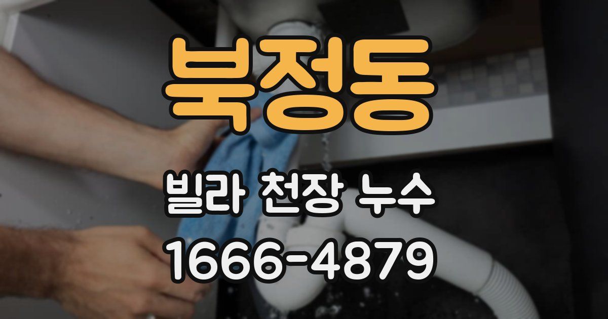 북정동 빌라 천장 누수