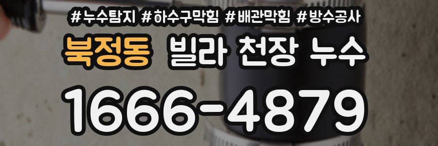 북정동 빌라 천장 누수