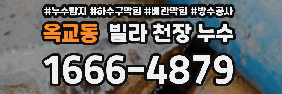 옥교동 빌라 천장 누수