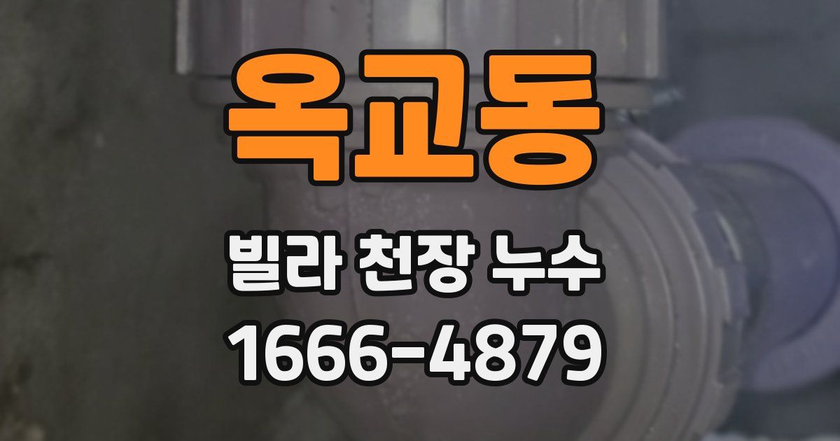 옥교동 빌라 천장 누수