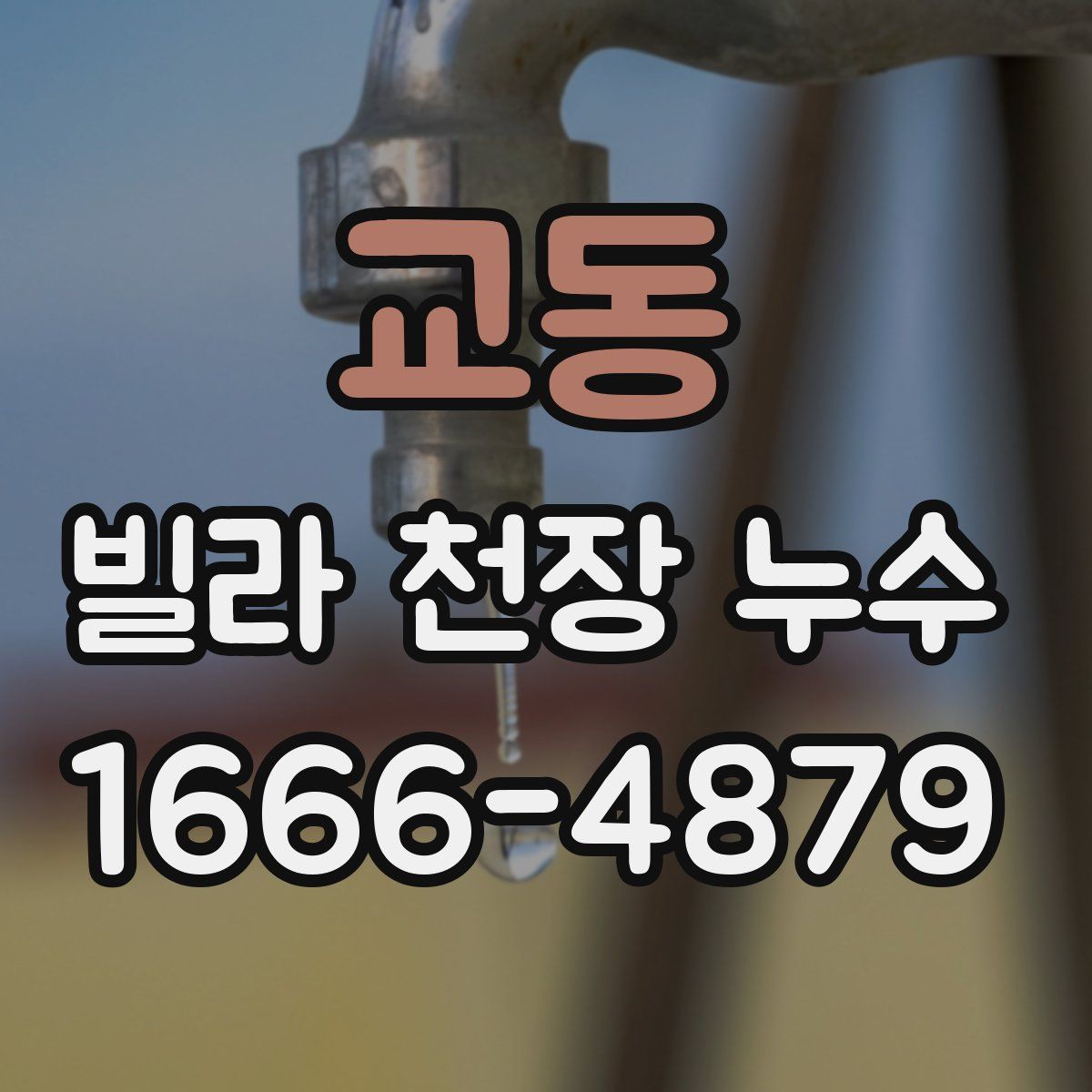 교동 빌라 천장 누수