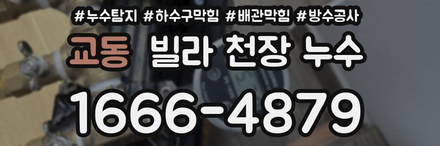 교동 빌라 천장 누수