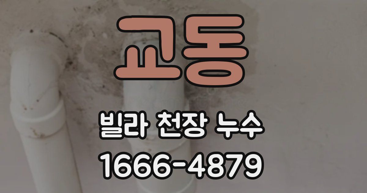 교동 빌라 천장 누수