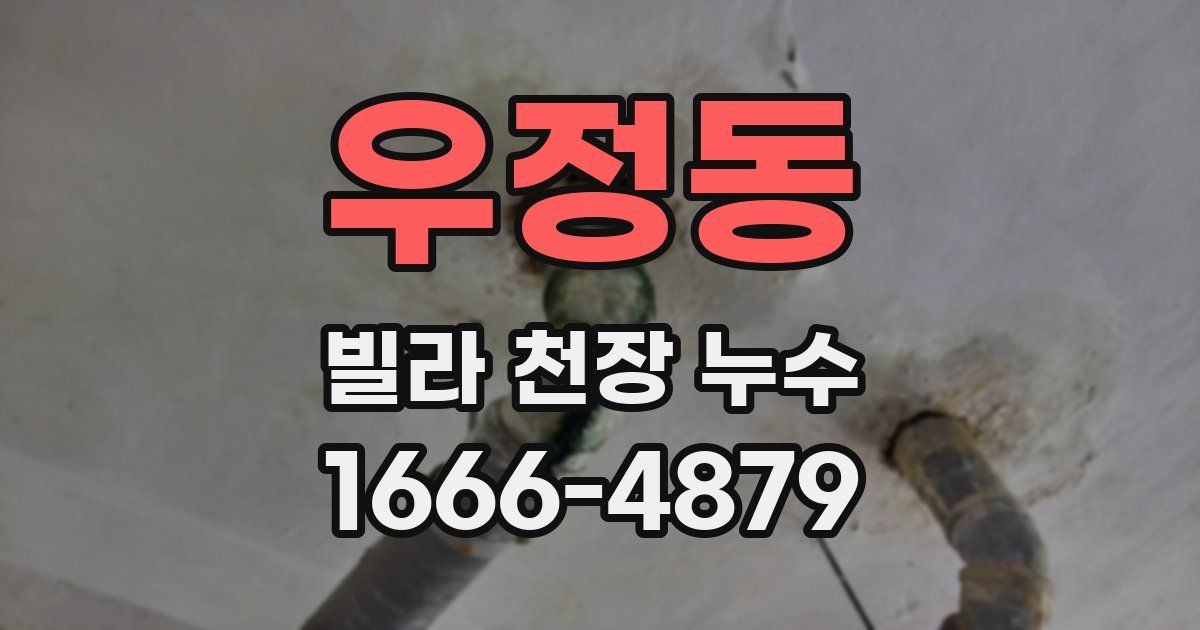 우정동 빌라 천장 누수