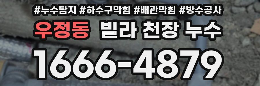 우정동 빌라 천장 누수