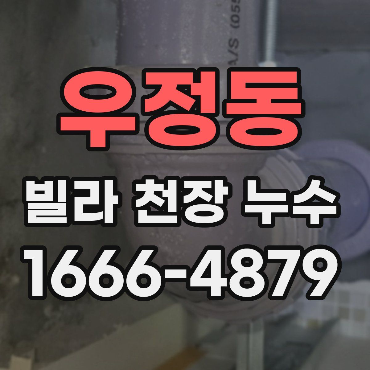 우정동 빌라 천장 누수