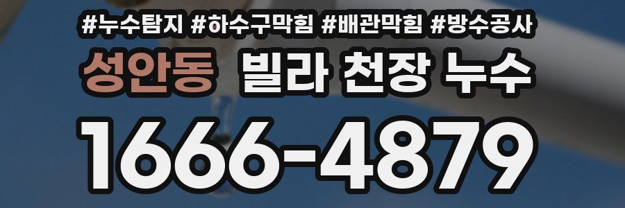 성안동 빌라 천장 누수
