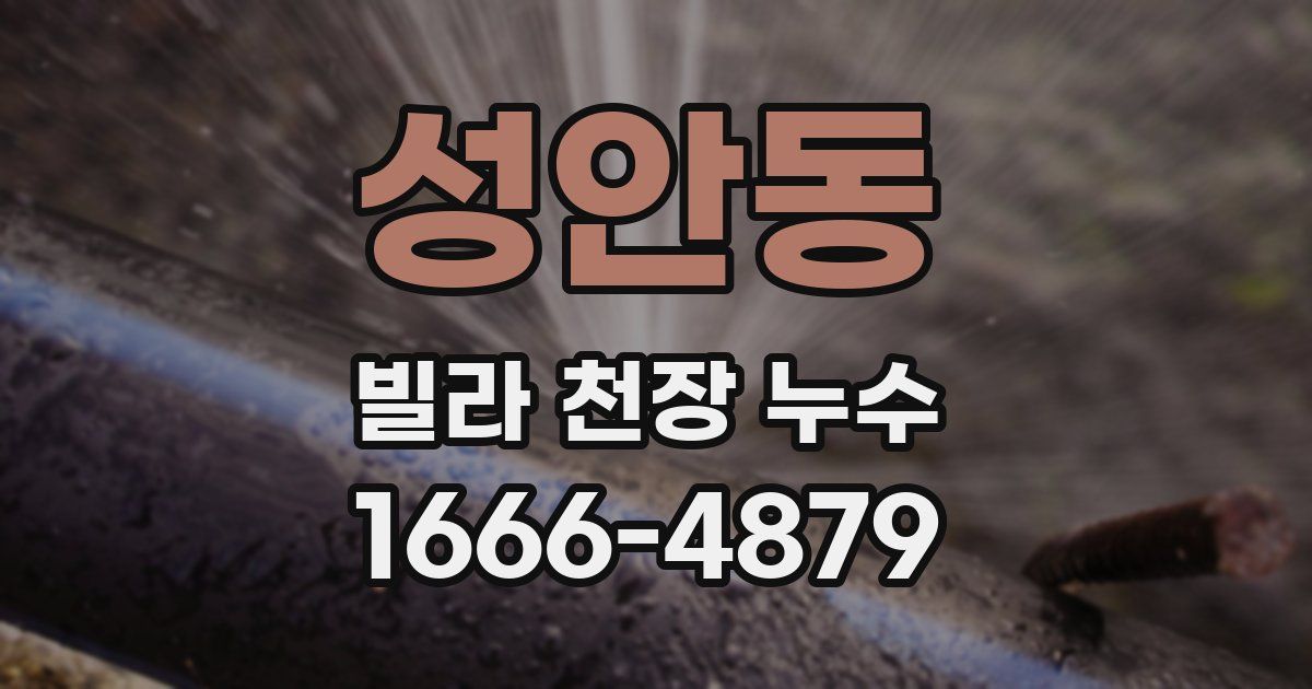 성안동 빌라 천장 누수