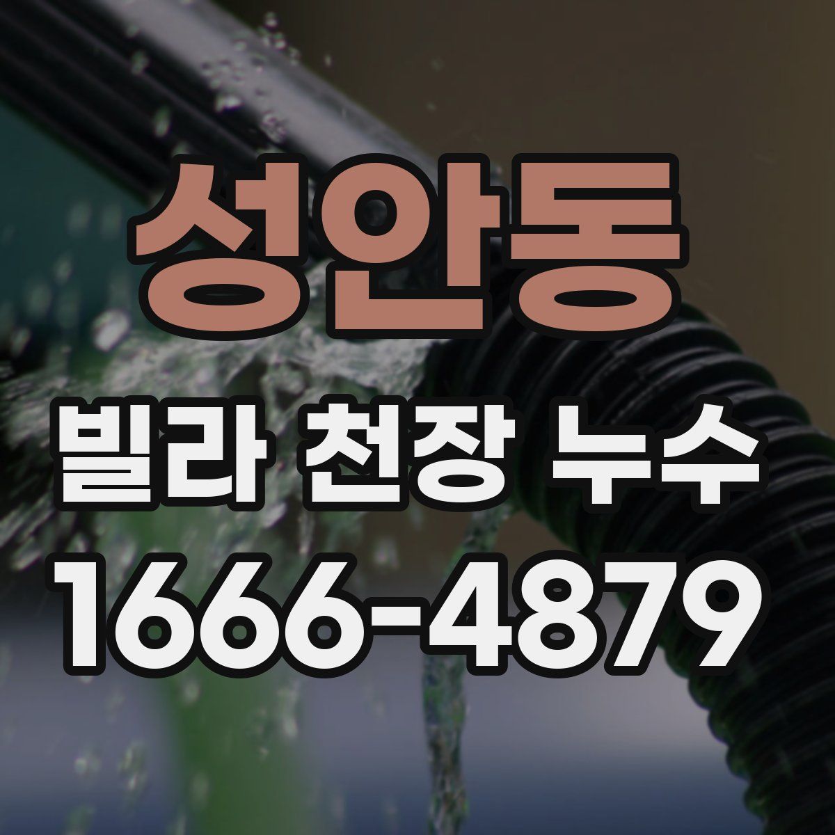 성안동 빌라 천장 누수