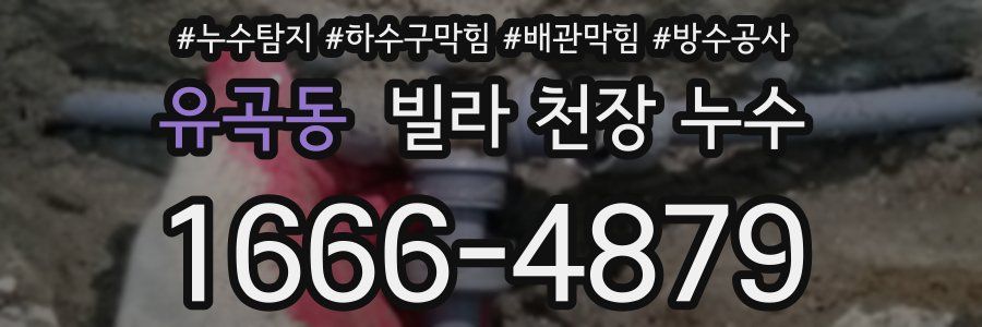 유곡동 빌라 천장 누수