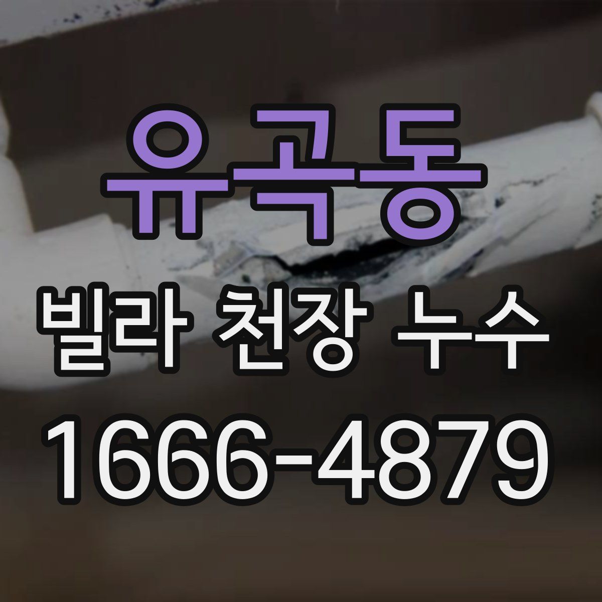 유곡동 빌라 천장 누수