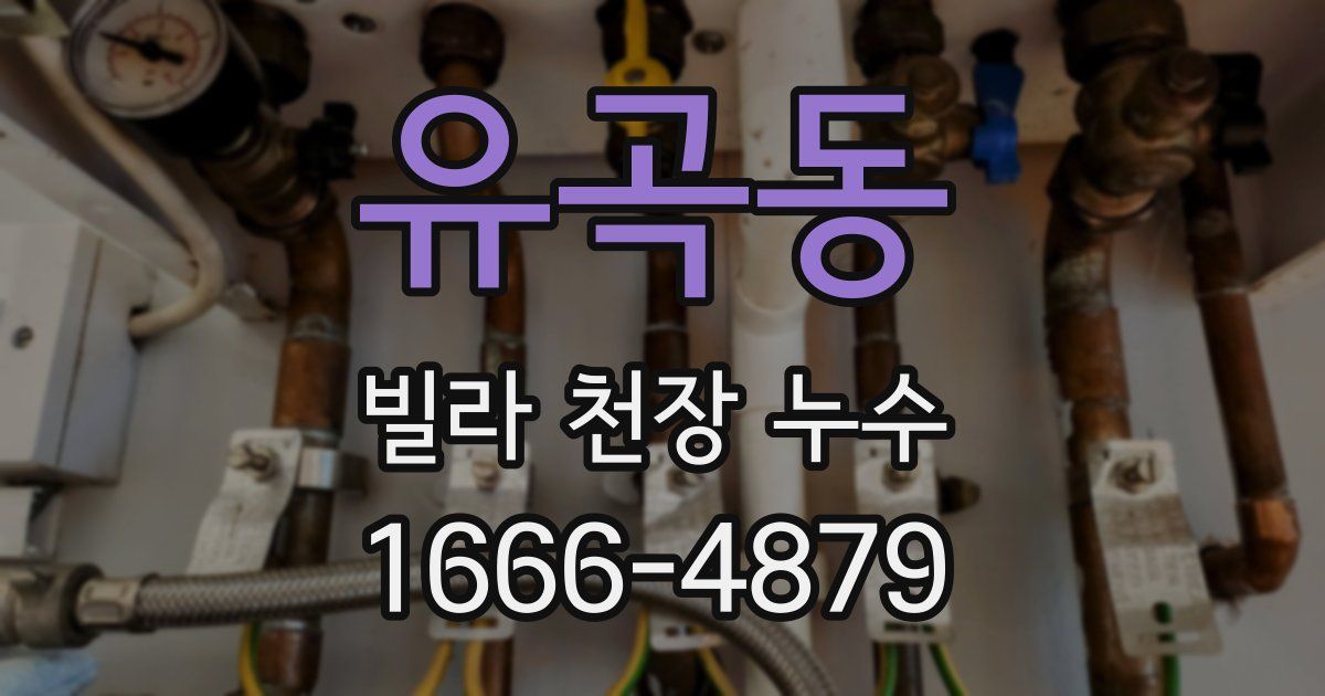 유곡동 빌라 천장 누수