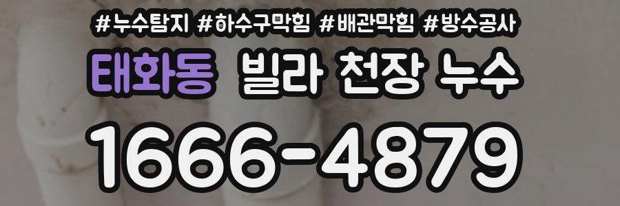 태화동 빌라 천장 누수