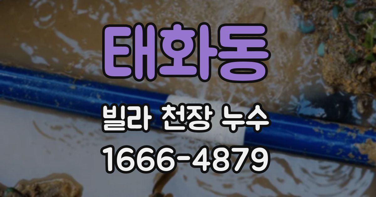 태화동 빌라 천장 누수