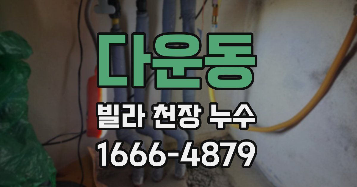 다운동 빌라 천장 누수