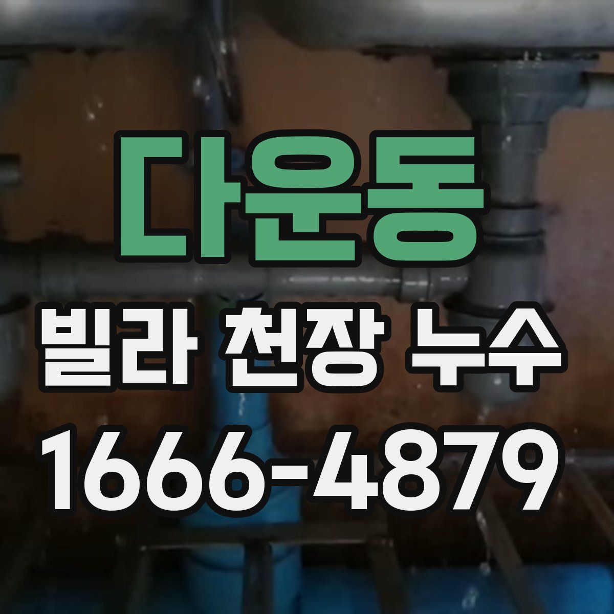 다운동 빌라 천장 누수