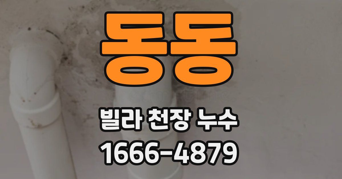동동 빌라 천장 누수