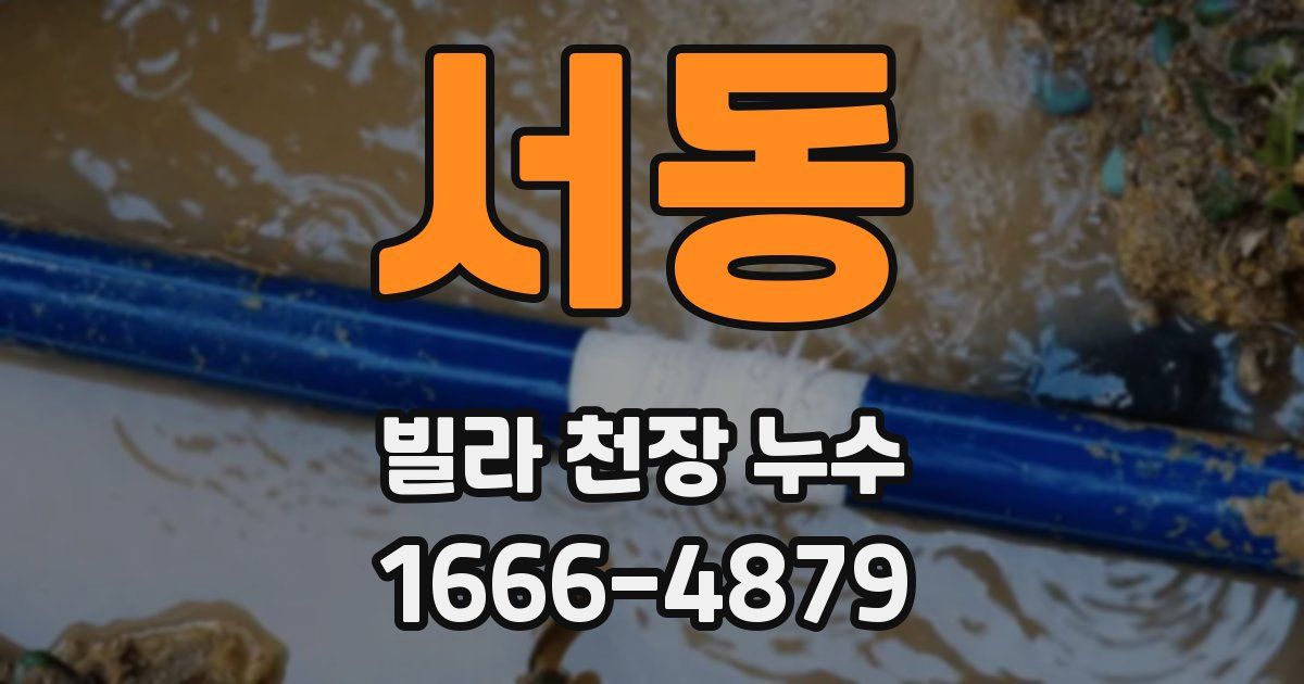 서동 빌라 천장 누수