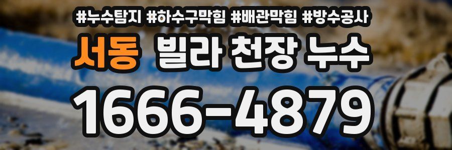서동 빌라 천장 누수