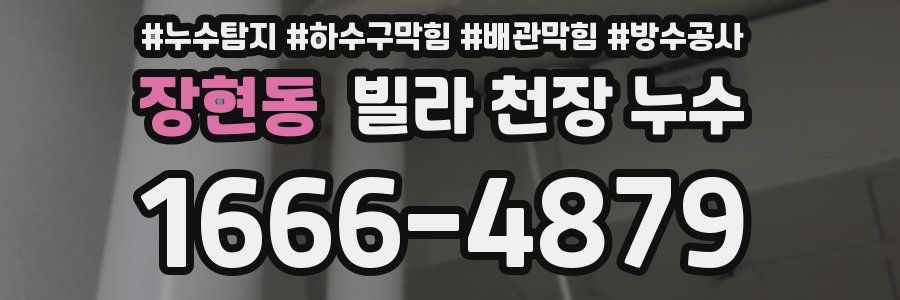장현동 빌라 천장 누수