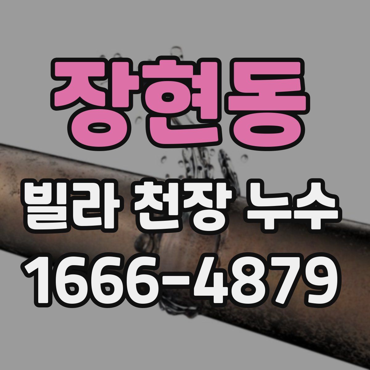 장현동 빌라 천장 누수