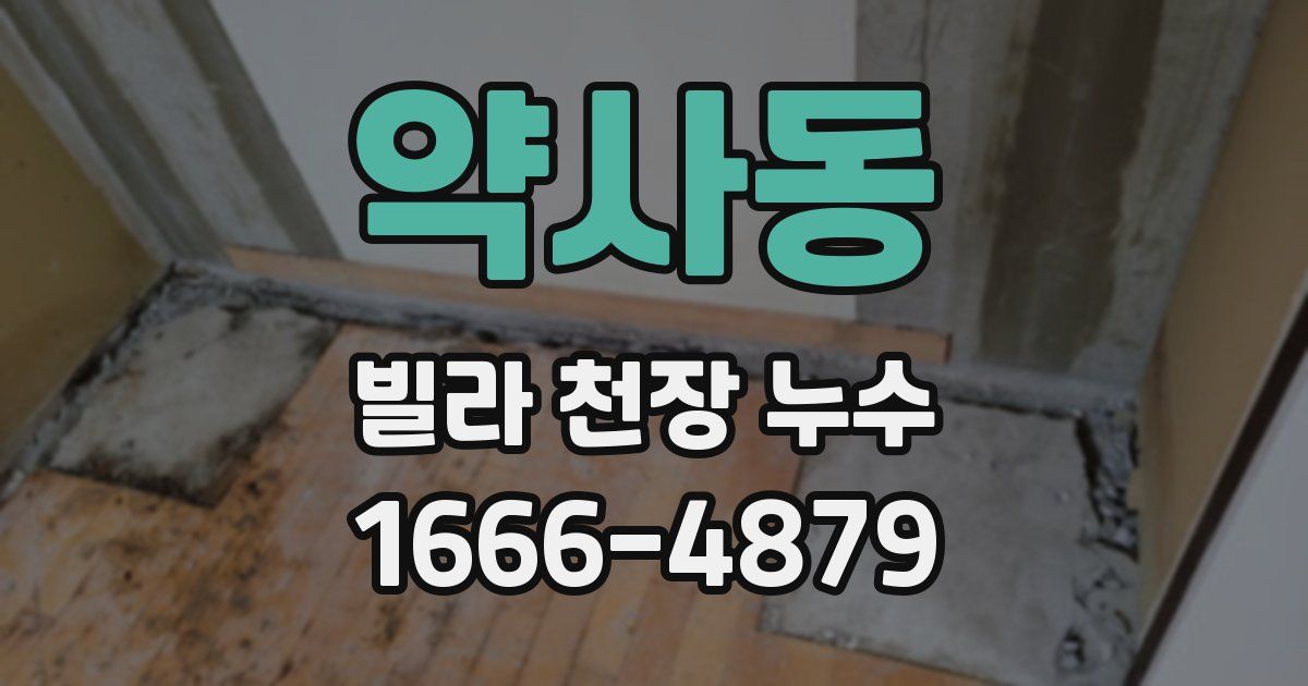약사동 빌라 천장 누수