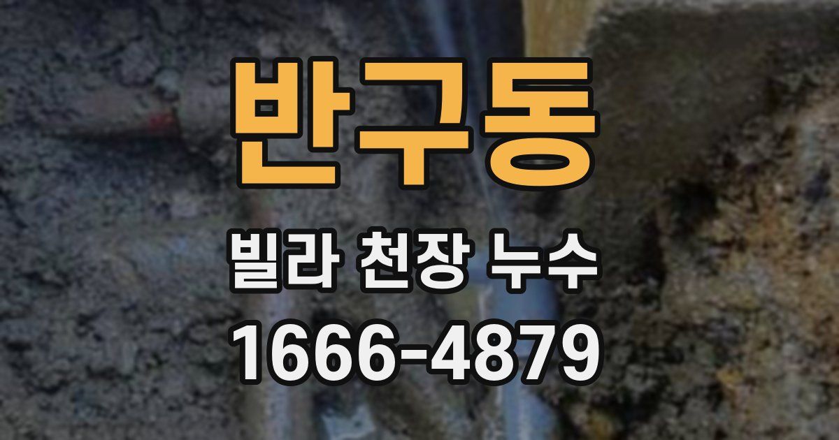 반구동 빌라 천장 누수