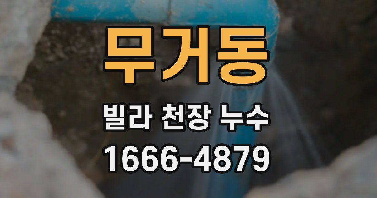 무거동 빌라 천장 누수