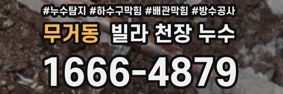 무거동 빌라 천장 누수