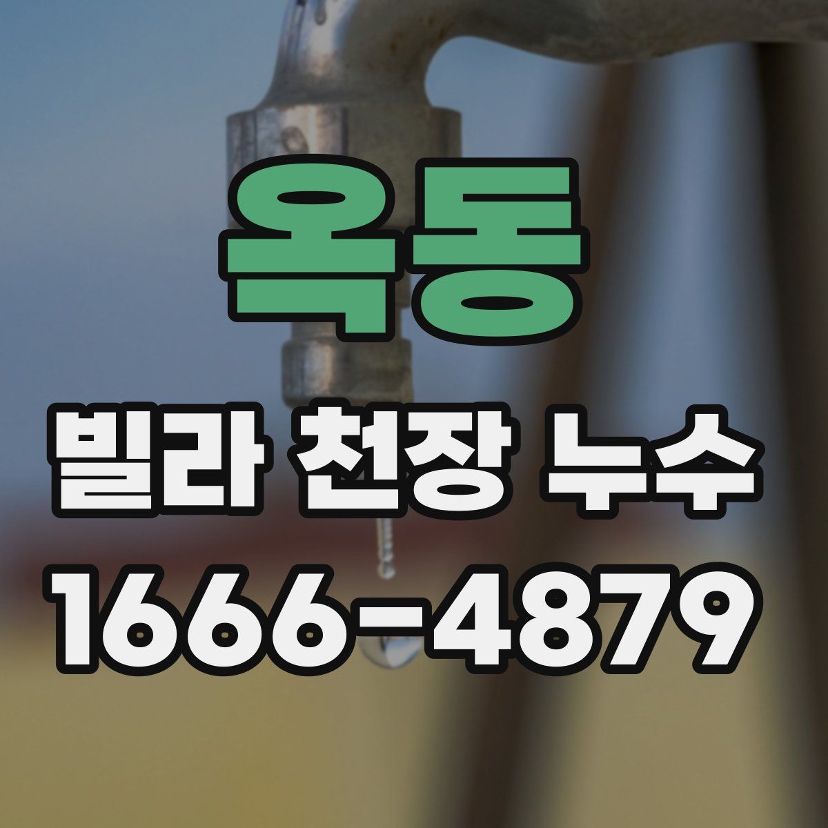 옥동 빌라 천장 누수