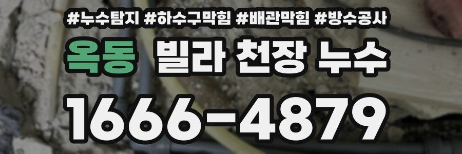 옥동 빌라 천장 누수