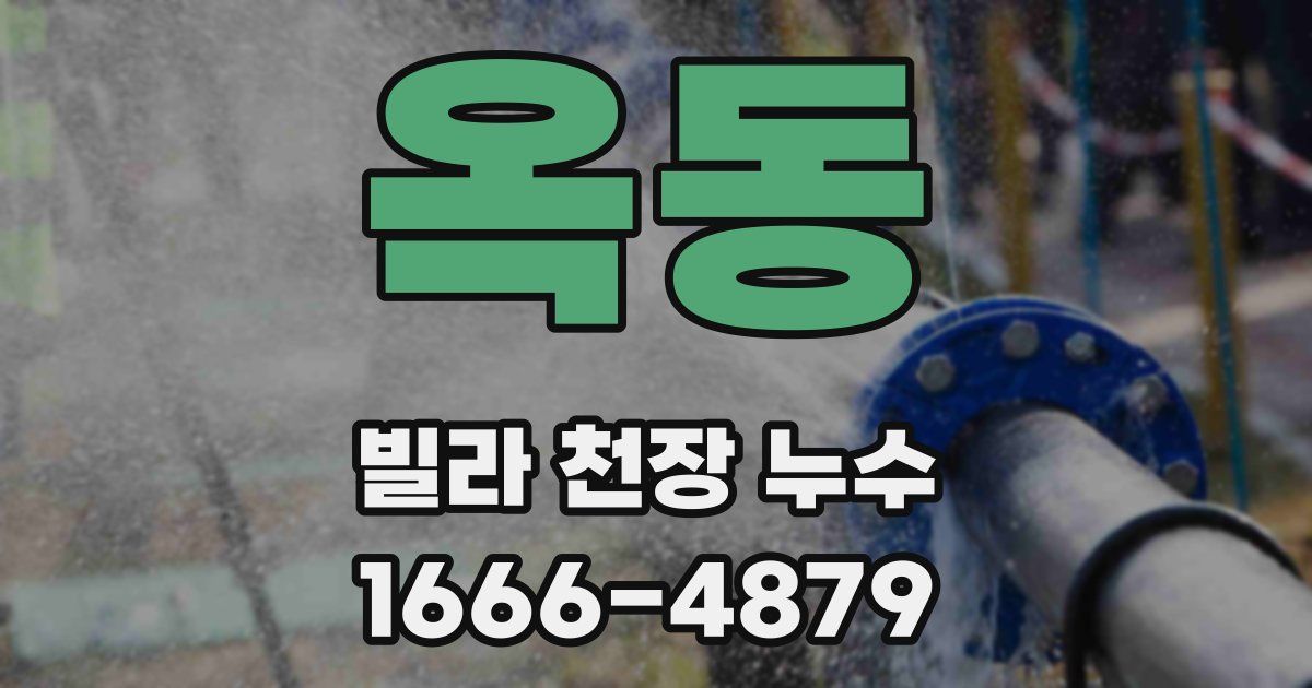 옥동 빌라 천장 누수