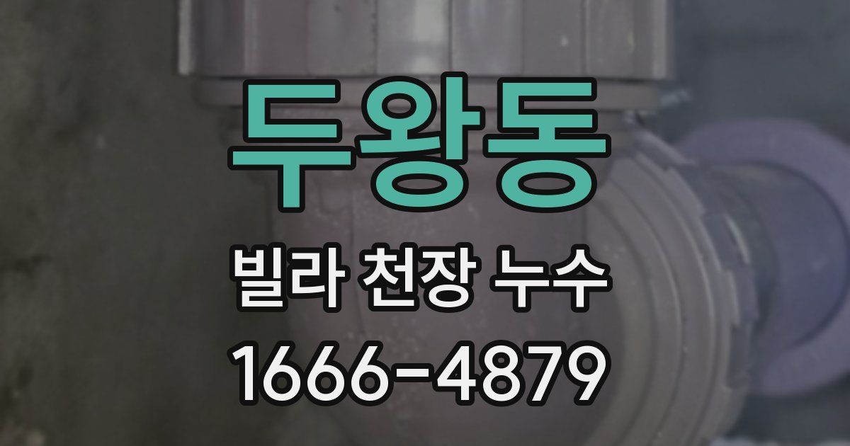 두왕동 빌라 천장 누수