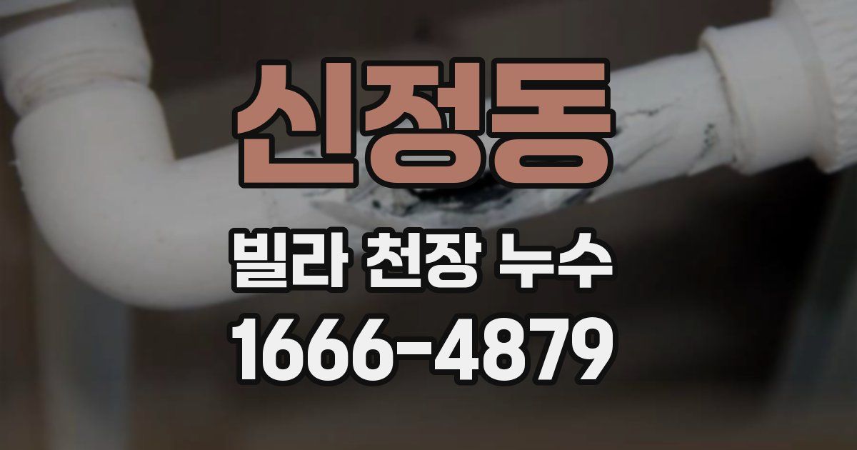 신정동 빌라 천장 누수