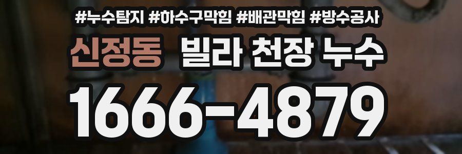 신정동 빌라 천장 누수