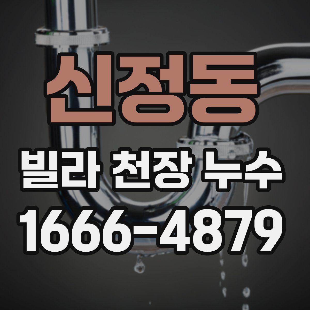 신정동 빌라 천장 누수