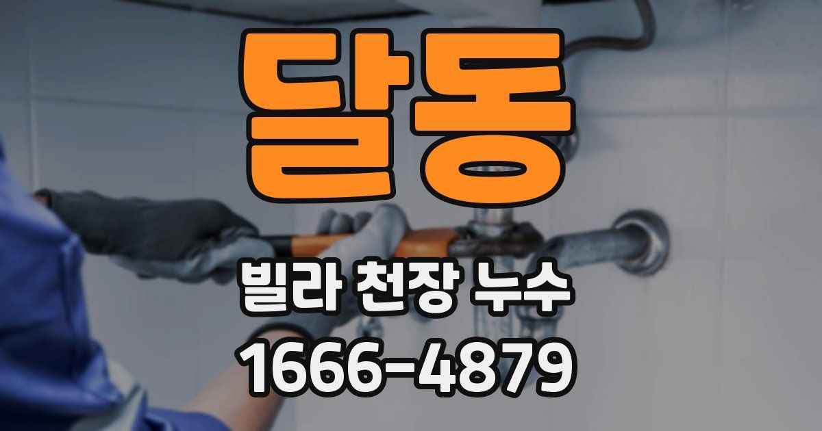 달동 빌라 천장 누수