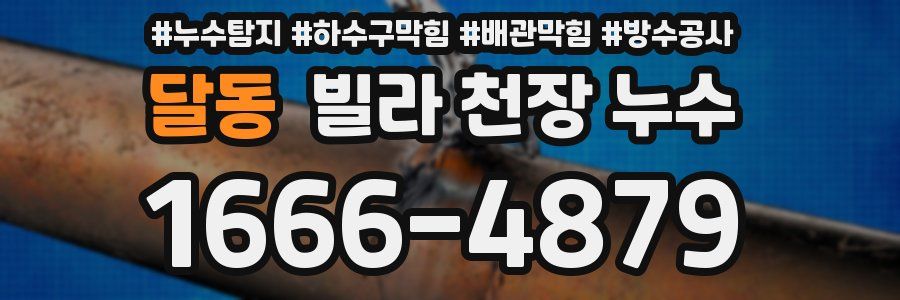 달동 빌라 천장 누수