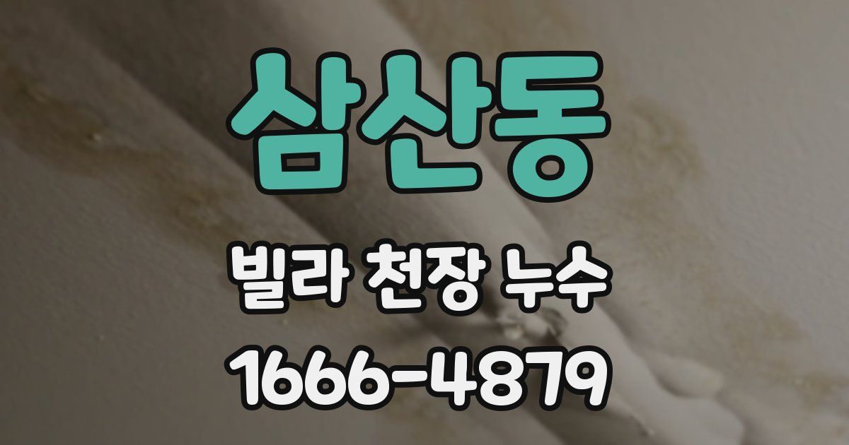 삼산동 빌라 천장 누수