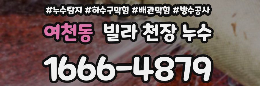 여천동 빌라 천장 누수