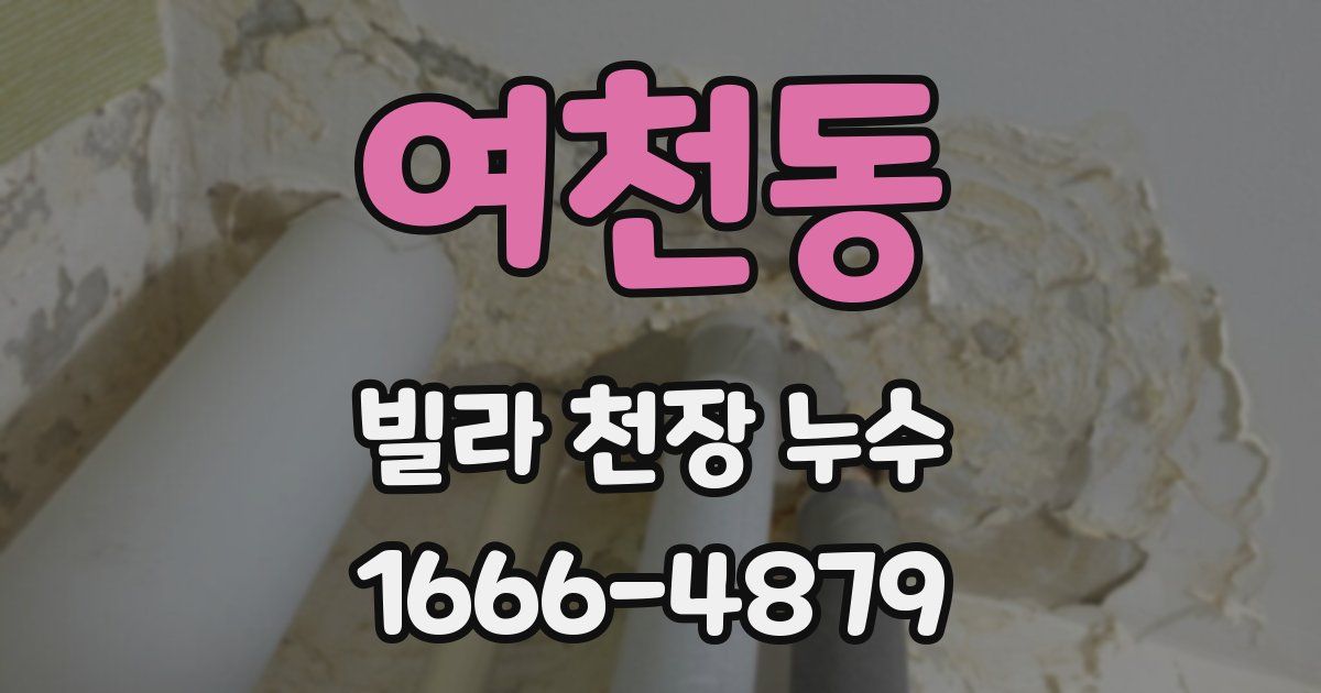 여천동 빌라 천장 누수