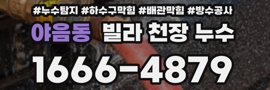 야음동 빌라 천장 누수