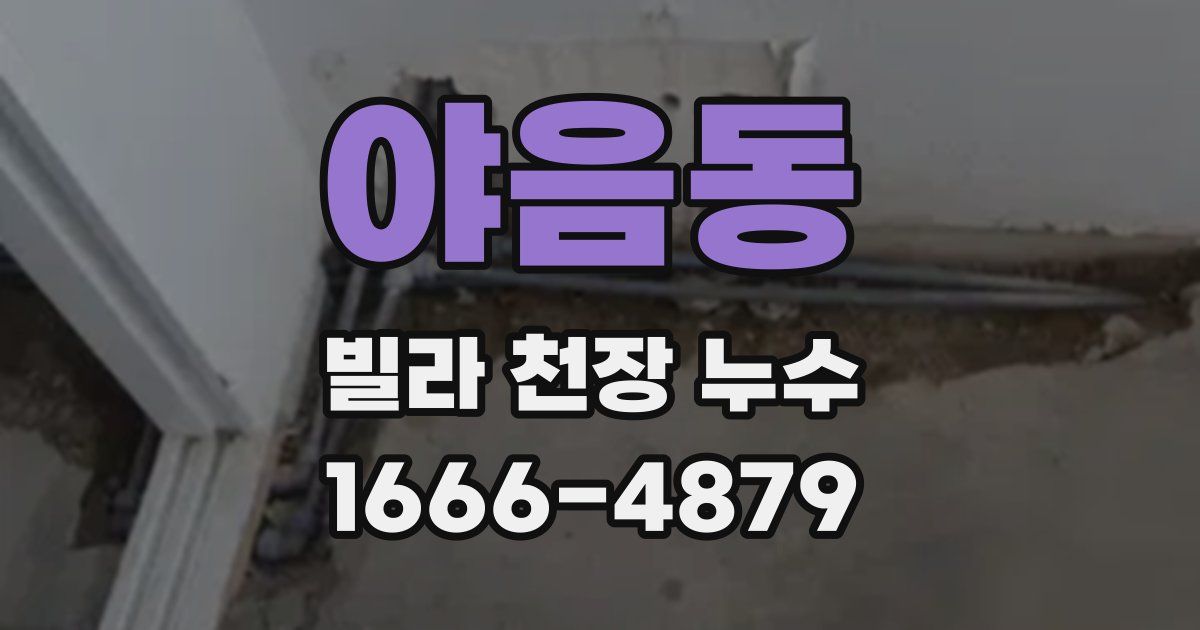 야음동 빌라 천장 누수