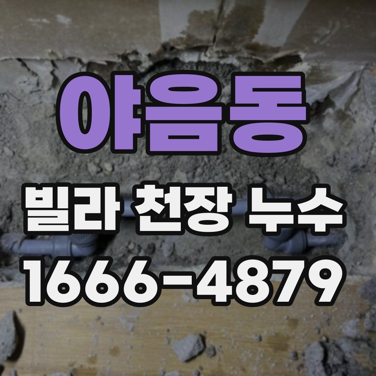 야음동 빌라 천장 누수